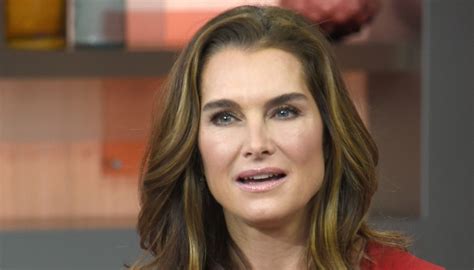 Brooke Shields Plastic Surgery Before And After Photo