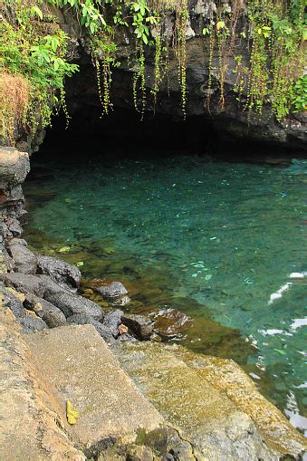 Piula Cave Pool Is A Natural Freshwater Pool By The Sea Beneath The
