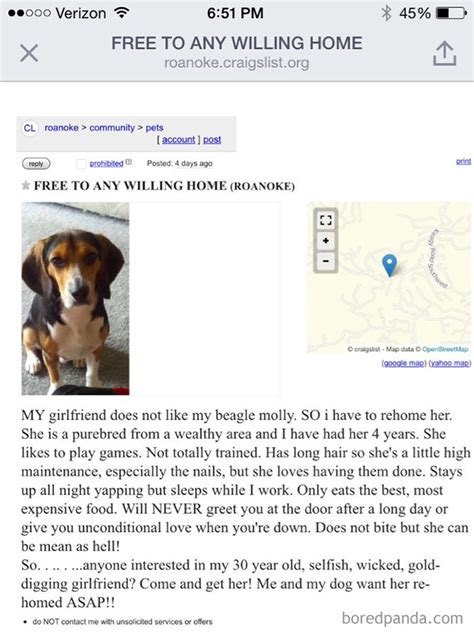 Of The Funniest And Strangest Ads Ever Seen On Craigslist Laptrinhx