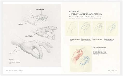 Dynamic Human Anatomy An Artists Guide By Osti Roberto