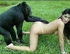 Girl Gets Fucked By A Monkey New Sex Images Comments