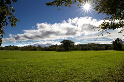 Green Field On A Sunny Day Free Nature Stock Photo