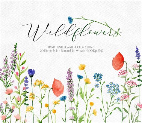 Watercolor Wildflowers Clipart Wildflower Bouquet Flower Etsy