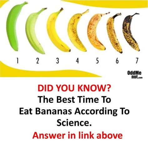 The best time to eat bananas depends on your nutritional needs and preference. When is the best time to eat a banana? - Quora