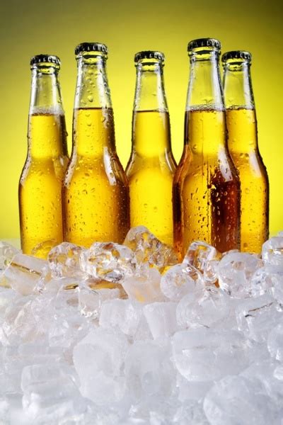 Cold Beer 03 Hd Picture Free Stock Photos In Image Format  Size