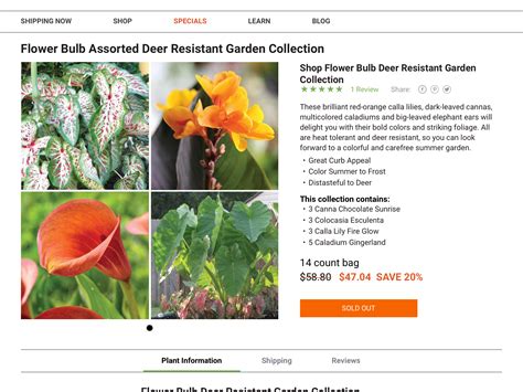 I supplement feed deer regularly. Deer will not eat but will a goat? | Deer resistant garden ...