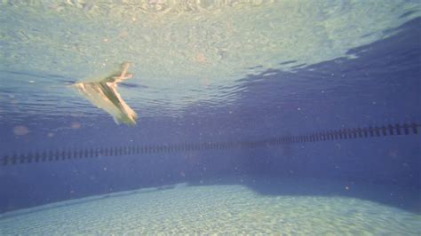 The Young Girl Dive In Swimming Pool Underwater Slow Motion Stock