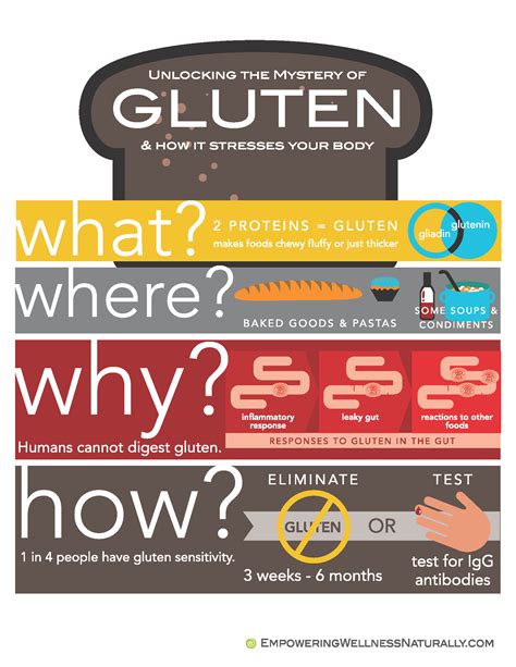Unlocking the Mystery of Gluten & How it Stresses Your Body (Infographic)
