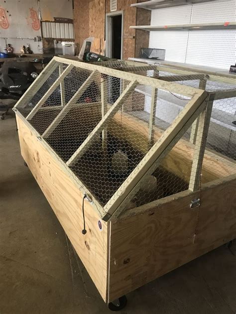 My Sil And I Built A Large Brooder Box For 37 Chicks That I Had Ordered