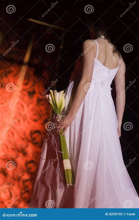 Wedding Day Dress Detail Stock Image Image Of Black Formal 8259745