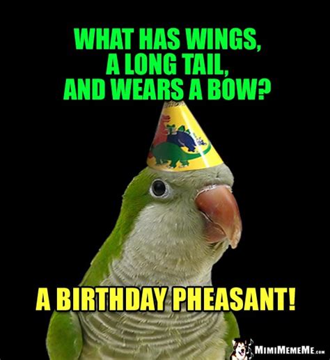Birthday Riddles Are Funny Happy Birthday Jokes Hilarious B Day Memes