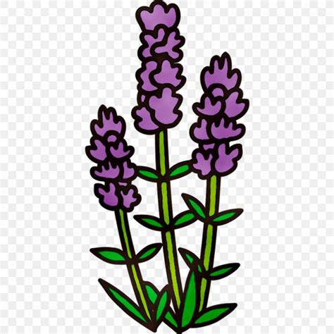 Clipart Lavender Flowers