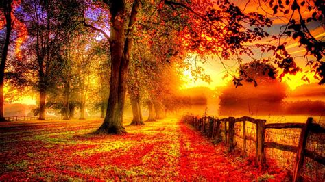 Fall Nature Full Hd Wallpapers 1920x1080 Limosample