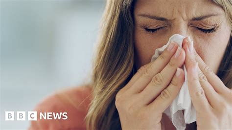 Coronavirus Hay Fever Symptoms Could Mimic Covid 19 Gps Warn Bbc News