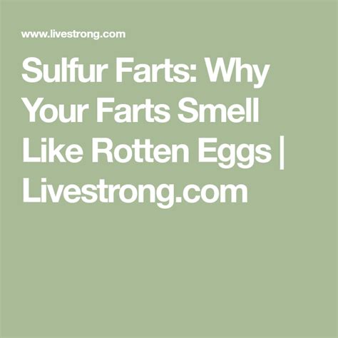 Sulfur Farts Why Your Farts Smell Like Rotten Eggs Daily Fiber Intake Rotten