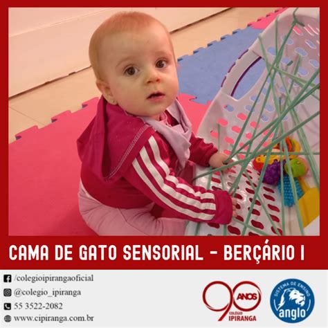 Cama De Gato Educação Infantil