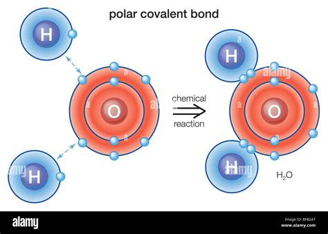 Polar Covalent Bond Stock Photo Alamy