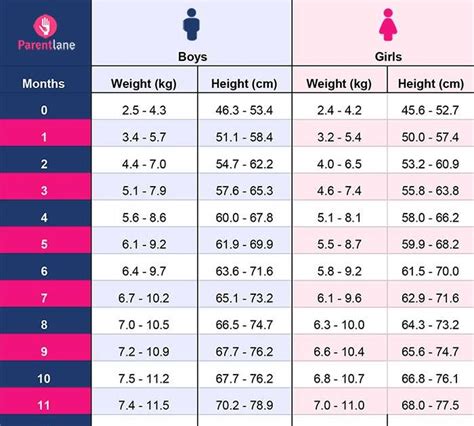 5 Month Old Baby Average Weight And Height Baby Viewer