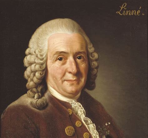 Jan Ingenhusz El Descubridor De La Fotosíntesis Carl Linnaeus Carl