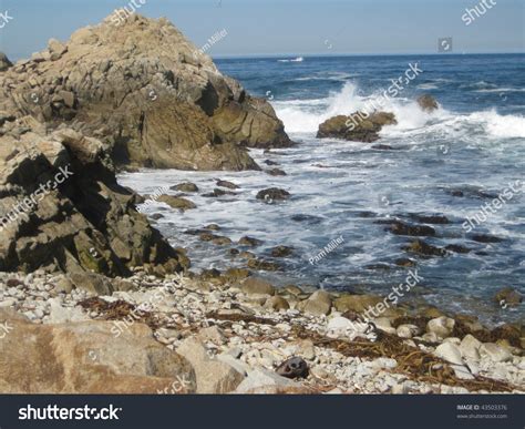 Pacific Ocean Off California Coast Stock Photo 43503376 Shutterstock