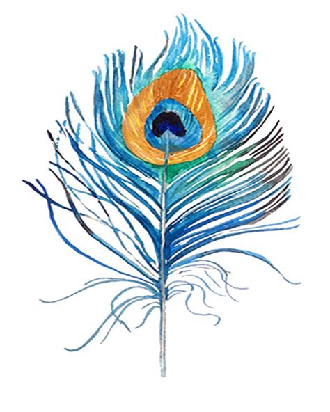 Peacock Feather Art Print Instant Download Peacock Wall Art Etsy