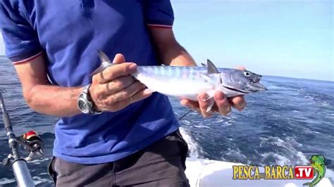 Tecnica Di Pesca A Traina Leggera Pesca Dalla Barca Tv Youtube