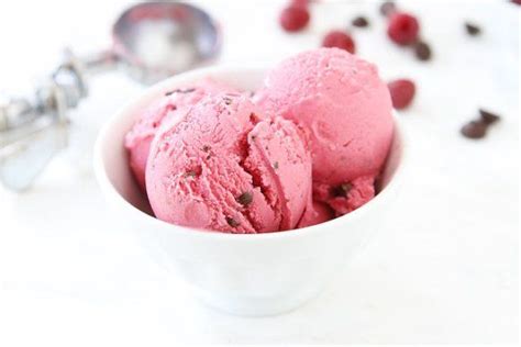 90 Ice Cream Gelato And Sorbet Recipes Frozen Yogurt Recipes