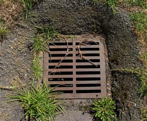 How Do I Choose The Best Drain Grate With Picture