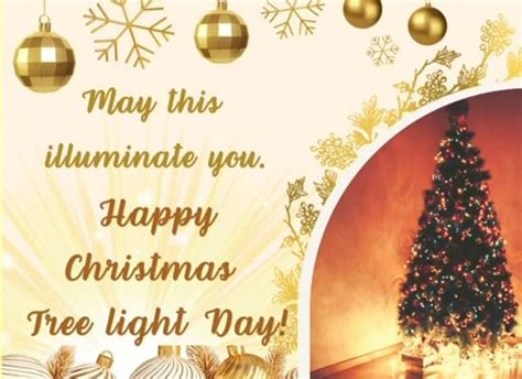 A Luminous Christmas Tree Light Day Free Christmas Tree Light Day