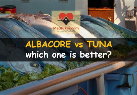 Albacore Vs Tuna An Ultimate Guide