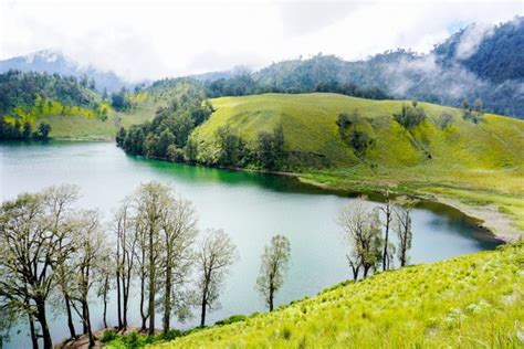 Danau Ranu Kumbolo Harga Tiket Lokasi Dan Fasilitas Metroandalas Co Id