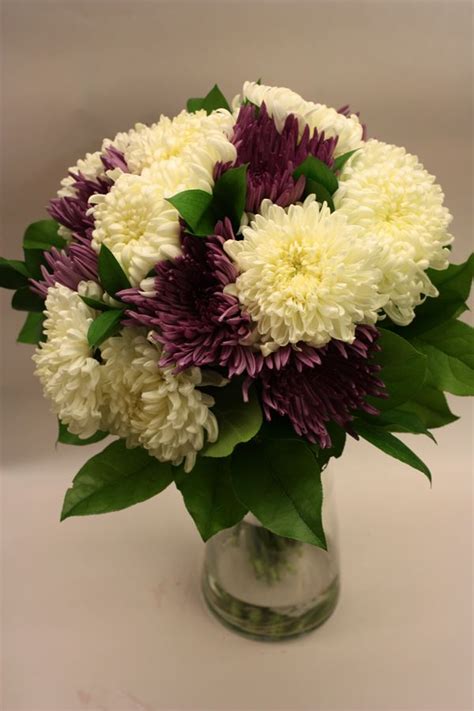 Also known as mums, they are generally grown as annuals in cold climates. brides bouquet - white commercial mums, purple spider mums ...
