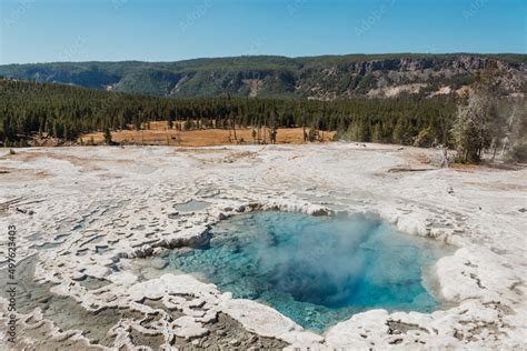 Hot Springs In Yellowstone National Park Stock Photo Adobe Stock