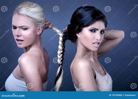 Braided Together Stock Photo Image Of People Braid 18794406