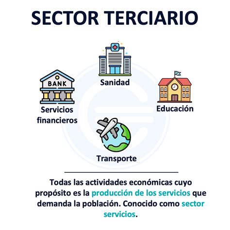 Sector Primario Secundario Y Terciario 2022 Economipedia