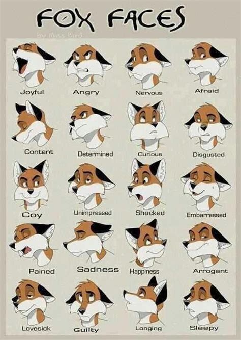 Just Awesome Fox Face Furry Art Drawing Expressions