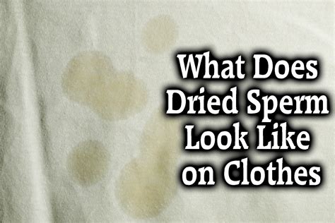 What Does Dried Sperm Look Like On Clothes Sheets Skin Removing Etc