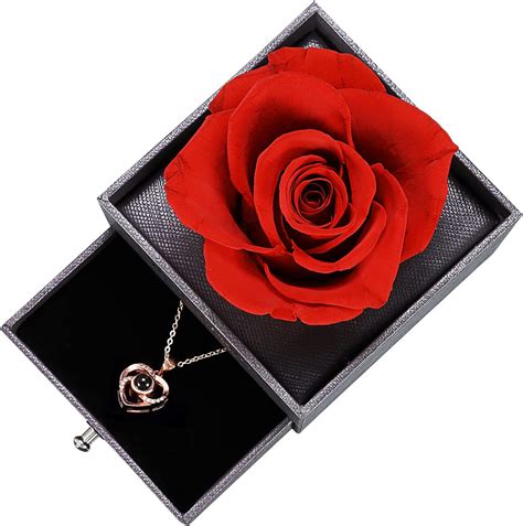 Nyoolo Preserved Real Rose With I Love You Necklace 100 Languages Box