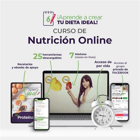 Curso Online De Nutrición Aprende A Crear Tu Dieta Ideal Bases Y