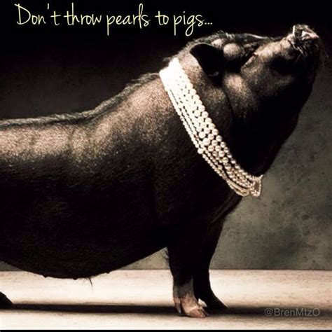 Dont Throw Pearls To Pigs Pig Pictures Pet Pigs Black Pig