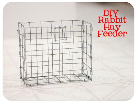 We did not find results for: How To Make a Rabbit Hay Feeder | Bull Rock Barn and Home
