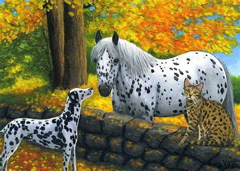 Meeting In The Meadow Horse Rearing Appaloosa Horses Horse Drawings