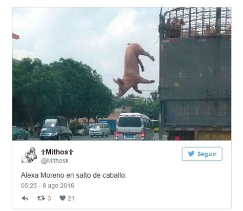 We did not find results for: Redes sociales se burlan de esta gimnasta en los JJ.OO ...