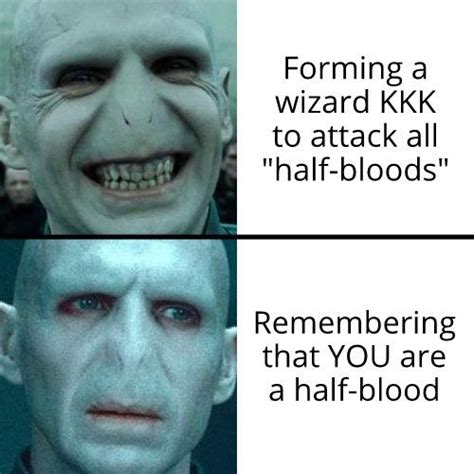 Voldemort Moment Dankmemes