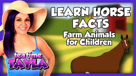 Learn Horse Facts Farm Animals For Children On Tea Time