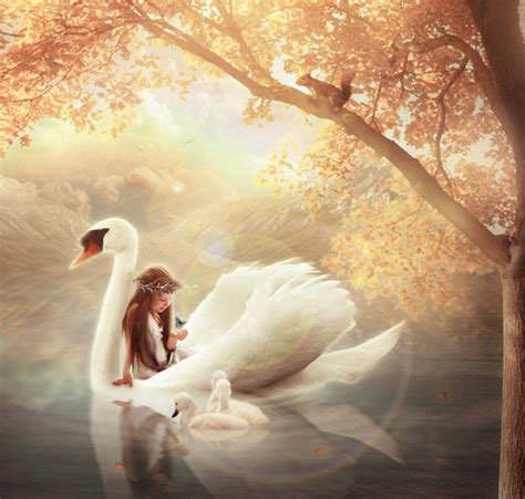 Fantasy Photo Fantasy Fantasy Painting Swan