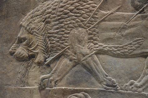 Assyrian Reliefs Lion Hunting Panthera Leo Hunt Scene Horseman