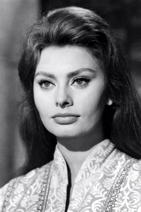 Sophia Loren Sophia Loren Images Sofia Loren Sophia Loren