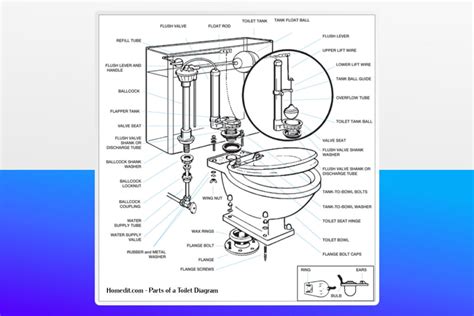 Guide To Parts Of A Toilet With Diagrams 2023