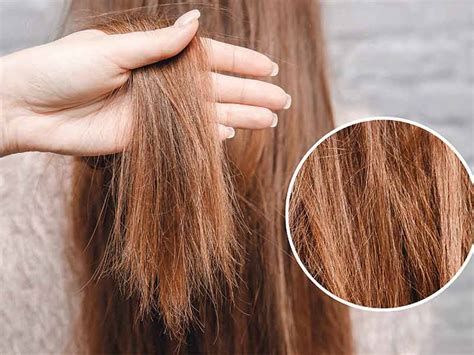 Maybe you would like to learn more about one of these? How To Repair Damaged Hair: The Secrets Everyone Misses ...